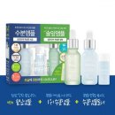 솔잎기획