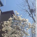 밤가시공원 이미지