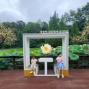 경주 파크유스타운 | 경주 보문 카라반 파크 연꽃이 예뻤던 글램핑 죽지랑 후기