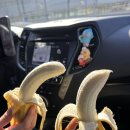 풋살장 화장실 | 새해부터 플랩풋볼로 의왕 롯데마트 풋살장 다녀온 후기