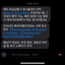 조형기푸드버드나무뷔페 | [아일랜드 교환학생] 3월 핀란드 로바니에미 여행기 - 오로라 헌팅, 산타마을, 핀란드 숲, 핀란드...