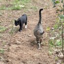 슬립인더가든 이미지