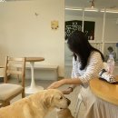 스타(STAR)노래연습장 이미지