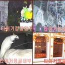 코끼리게임장 이미지