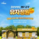 유자의 정원 - 강북구 | 유자의 정원