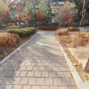 한솔동1단지 이미지