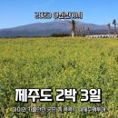 르뽀디저트플레이스 | 3월 제주도 2박 3일 여행 코스 아이와 가볼만한 곳 일정 제주팸투어