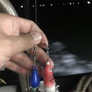 무창포항 에바다호 이용 후기 입니다