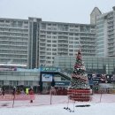 가곡초등학교(대곡분교) | 횡성 웰리힐리파크 스키장 후기