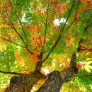 바람아래 이미지