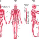 사랑의가정의학과의원 이미지