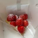 남서울 뽑기천국 | Day1 귤 맛도리 마쓰야마 여행기 (ft.오카이도 상점가, 마쓰야마 성, 스타벅스, 칸데오 호텔 )