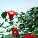 금난새와 함께하는 신춘음악회 이미지