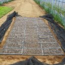 성하농장 이미지