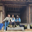 나포카센타 이미지