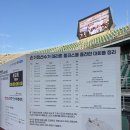 평화교통(주) | 2025 손기정 평화마라톤 참가 후기 &amp; 개인 훈련 일지 (10km PB 달성 ✨)