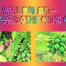 부천호수식물원 수피아 이미지