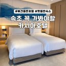 카시아 속초 애견동반 호텔 총정리 반려견과 함께하는 속초 5성급 여행