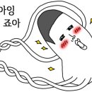 코요테앤어글리 이미지