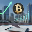 비트코인 보유 유지