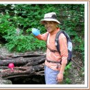 대공산성 등산로 이미지