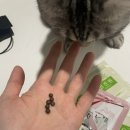 킴스약국 이미지