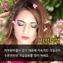 진선미피부 이미지