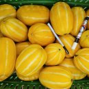 보내농장 이미지