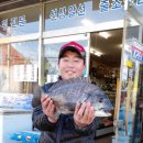 바다낚시 - 창원시 성산구 삼귀로 369 | 바다낚시