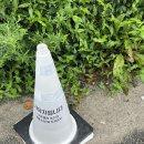 하조델리앤스테이 이미지