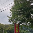 일영솔밭 | 양주 유원지 일영계곡 맛집 일영한씨네 괜히 인기있는 게 아니네