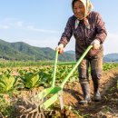 꼼지락예산적정기술협동조합 | 적정 기술 (지속가능성, 에너지자립, 농촌형기술)