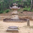 조록나무 뿌리 형상물 | 원주 3대 폐사지를 이은 고달사지: 숨겨진 매력, 꼭 가봐야 할 이유