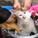 약암홍염천 목욕탕 이미지