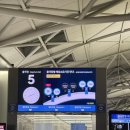 세번티 | 스페인 여행기 | Day 11~14| 바르셀로나 | 비행기 세번 경유 후기