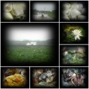 백년지기 이미지