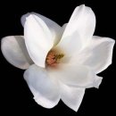 바다속으로 이미지