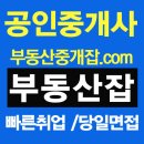 주식회사엘부동산중개법인 | 강남4구 등 집값 급등지역, 공인중개사 취업사이트 실장님 구인구직 정보안내