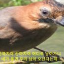 까치 노래방 이미지