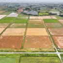 완도23호 이미지