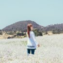 성읍리-25 이미지