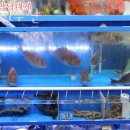 노다지수산 이미지