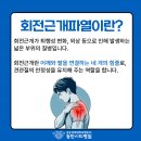 팔마장