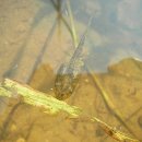 선학어린이집 이미지