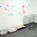 워킹애니멀스쿨 이미지