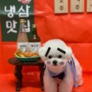 멍균관대 이미지