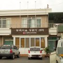 제주꿀꿀이족발 | 가을제주 02 돌담과 동백꽃, 제주 감성여행 < 제주동백마을 > (feat. 제주다운 으뜸촌)