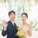 달하우스 이미지