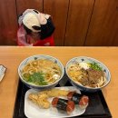 아기랑하와이여행 돌플랜테이션 파인애플 농장 다녀왔어요 + 마이리얼트립 5월할인코드 공유