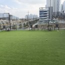 산책갈까? | 당진 수청동 애견카페 산책갈까 솔직 후기